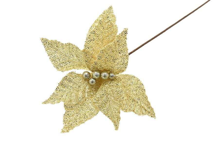 FIORE GAMBO LUNGO M.W27-2020514LC ORO