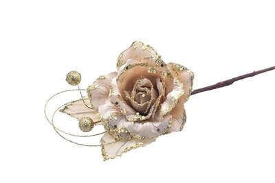 ROSA GAMBO LUNGO M.925024 PANNA
