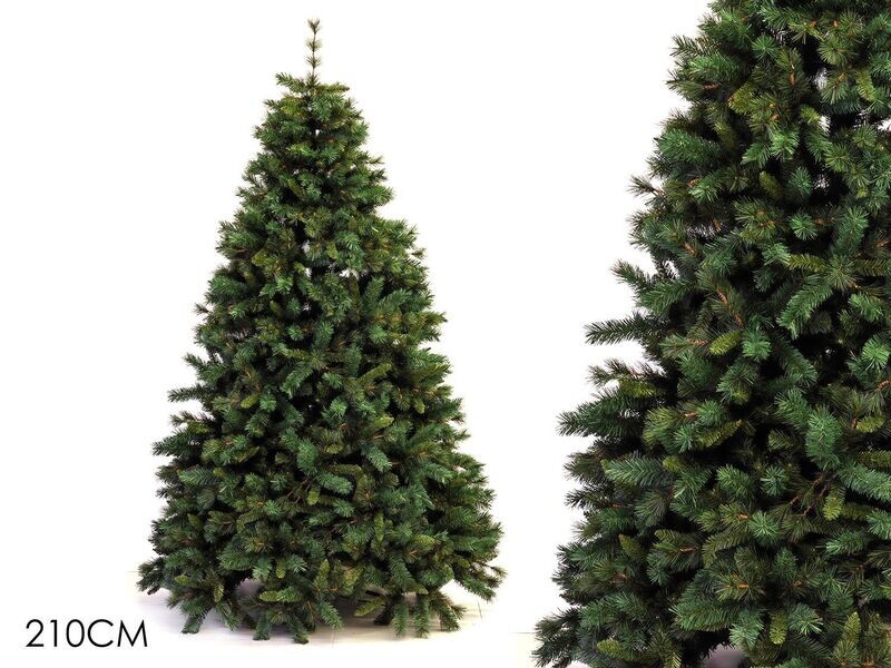 ALBERO PIRENEI MT 2.10/ 1389 TIPS