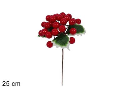 STELO CON BACCHE ROSSE E FOGLIE STELO CON BACCHE ROSSE E FOGLIE