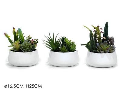 VASO C/PIANTINA GRASSA  diam. 16.5XH25CM 3ASS