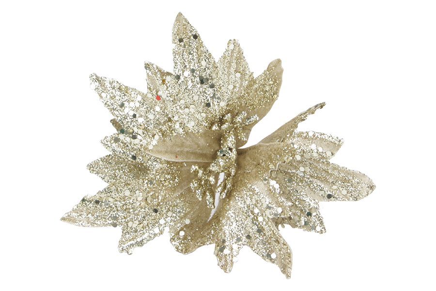 FIORE SMALL 5P.S M.W7-25718 CHAMPAGNE