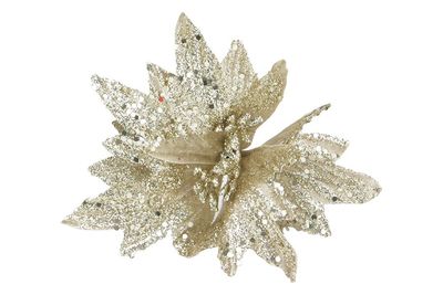 FIORE SMALL 5P.S M.W7-25718 CHAMPAGNE FIORE SMALL 5P.S M.W7-25718 CHAMPAGNE