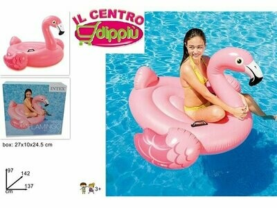 Gonfiabili e Piscine
