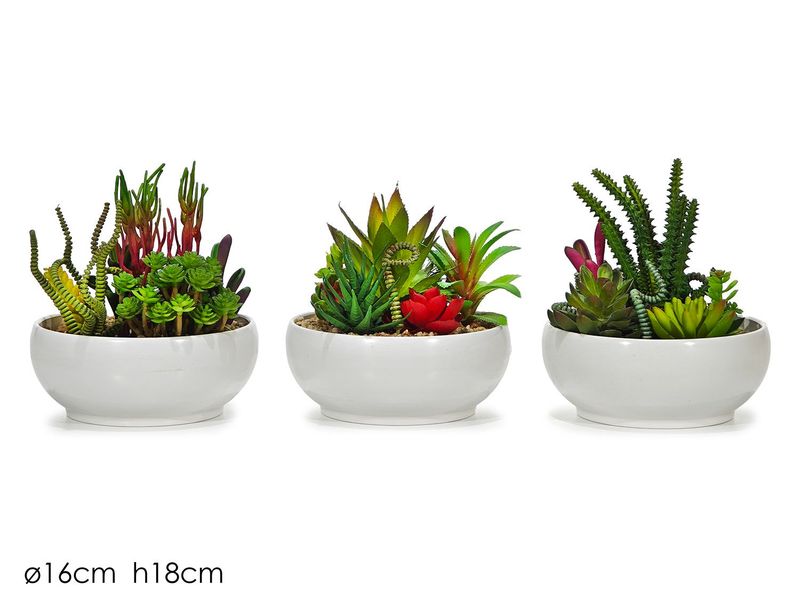 VASO C/PIANTA GRASSA �16XH18CM 3ASS