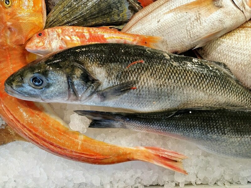 Branzino / Spigola - Pescato