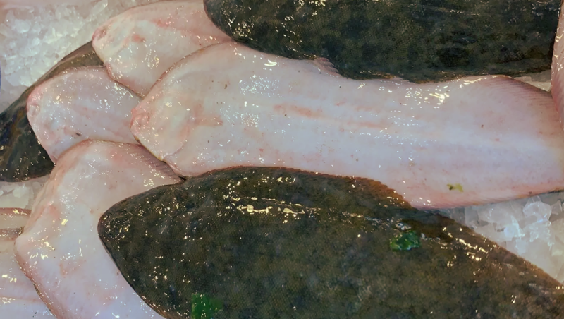 Sogliola