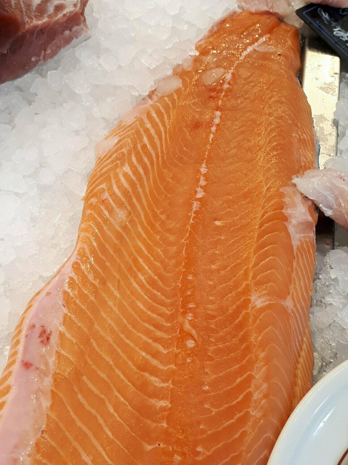 Salmone Filetto Norvegia
