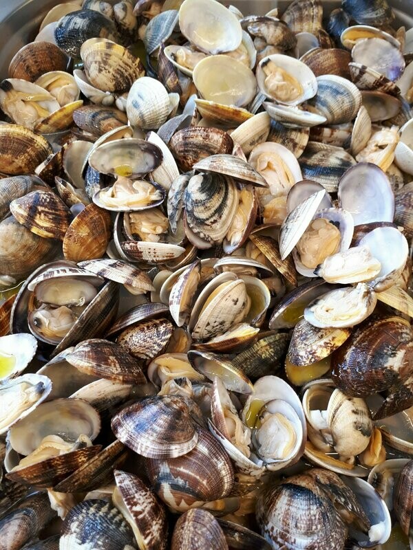 Sautè vongole