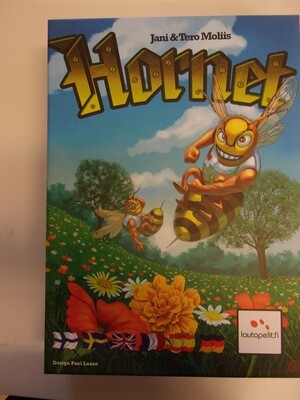 Hornet-usato-