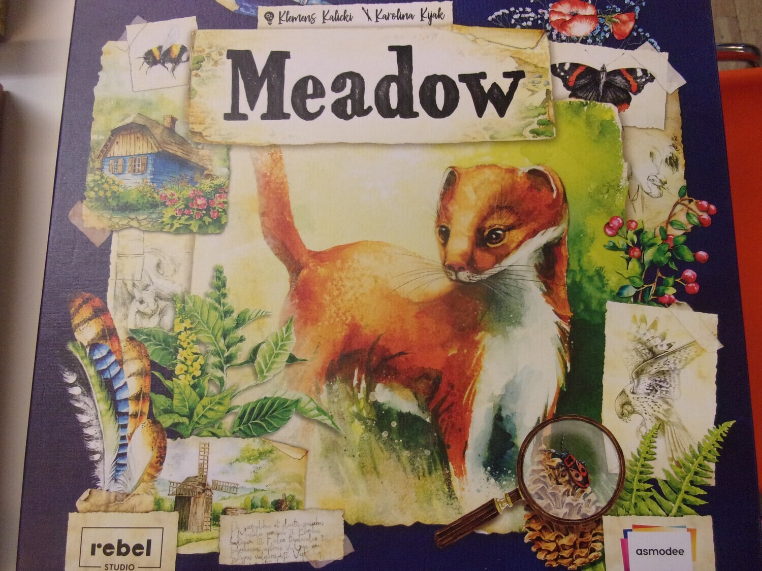 Meadow -gioco usato-