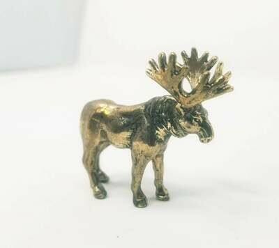 Moose