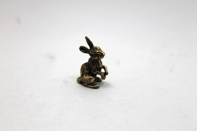 Jackrabbit