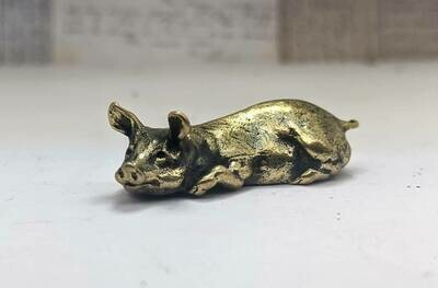 Pig