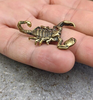 Scorpion
