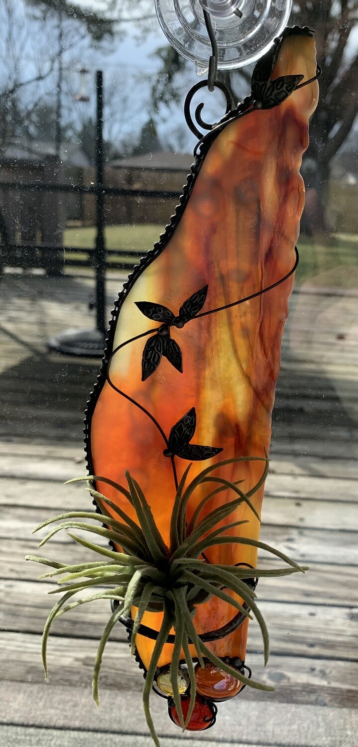 Air Plant Holder 1