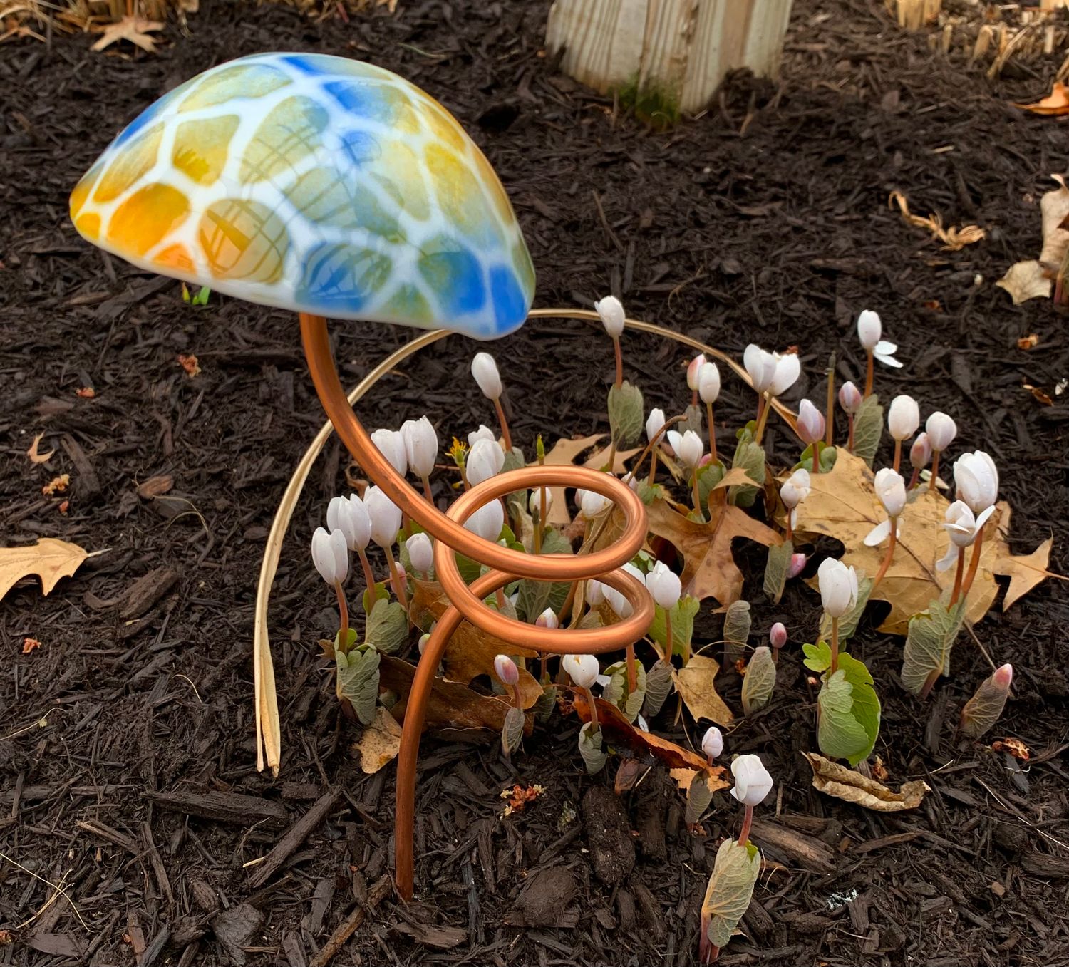 Mushroom 2