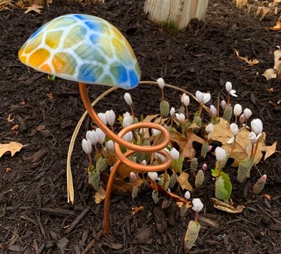 Mushroom 2