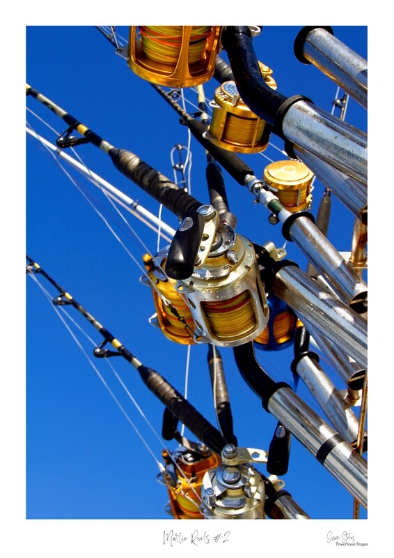 Marlin Reels - All set to go 2