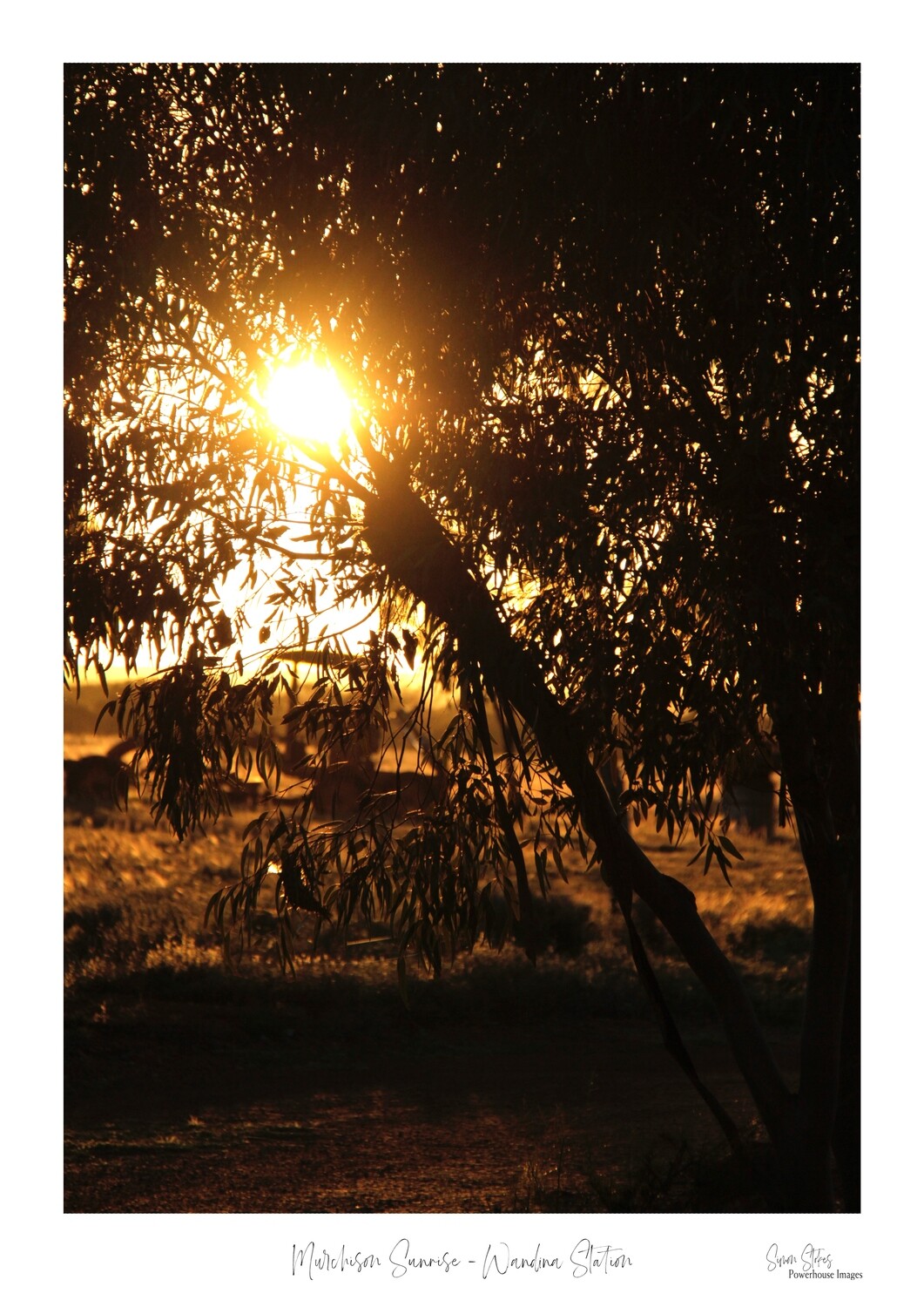 Murchison Sunrise - Wandina Station