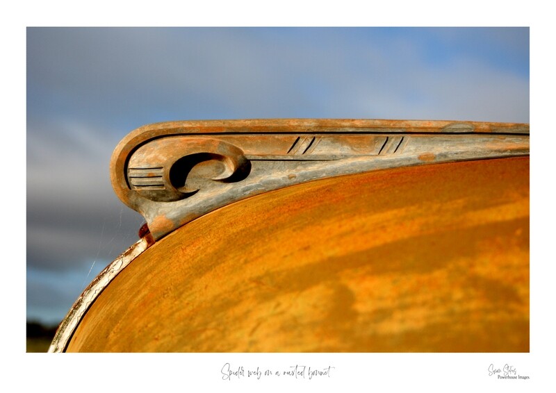 Spider web on a rusted bonnet