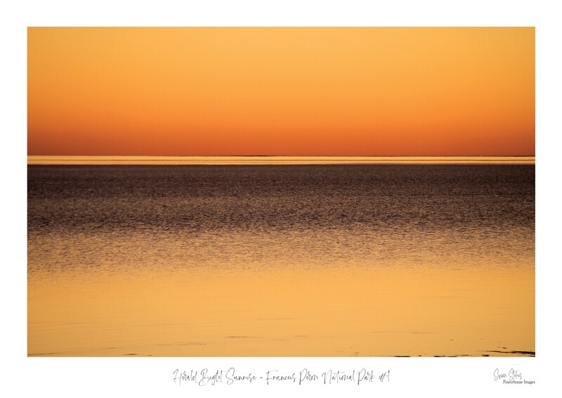 Herald Bight Sunrise #1