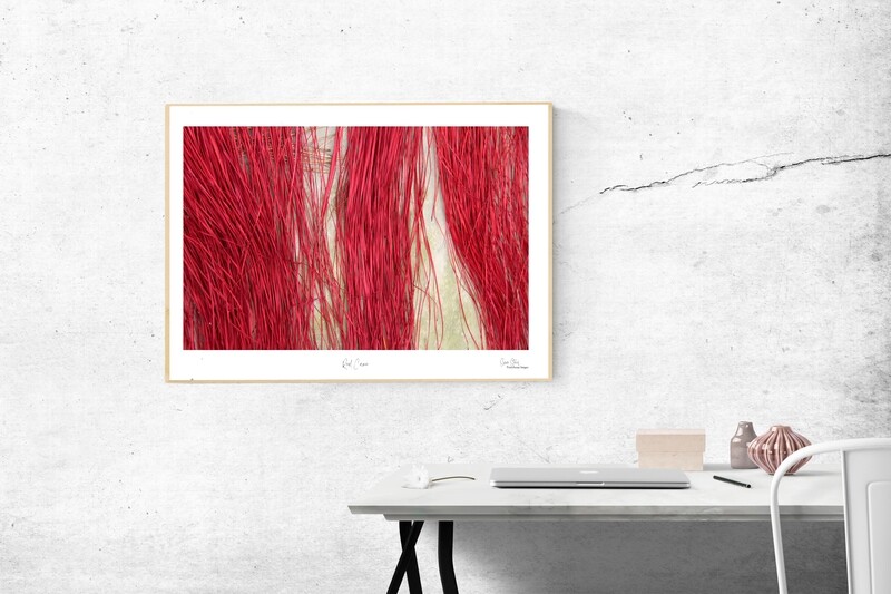 Red cane