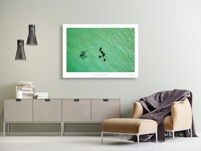 7 Stingrays - Herald Bight