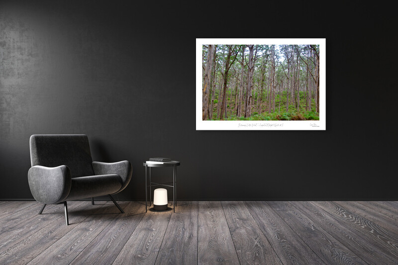 Boranup Karri Forest - Augusta-Margaret River #2