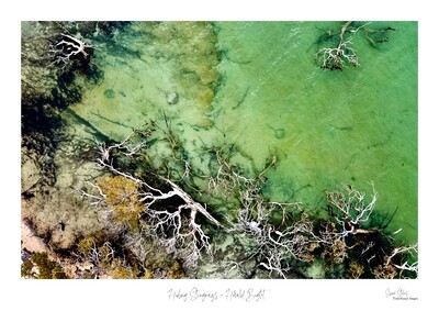 Hiding Stingrays - Herald Bight