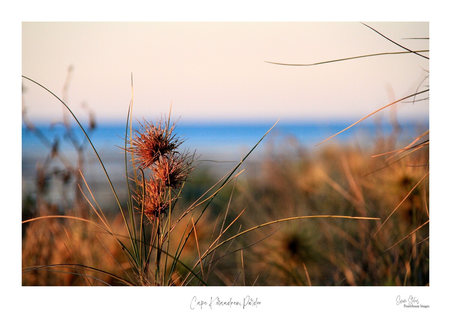 Cape Keraudren, Pardoo