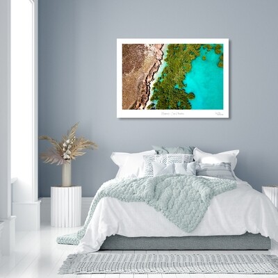 Mangroves - Cape Keraudren