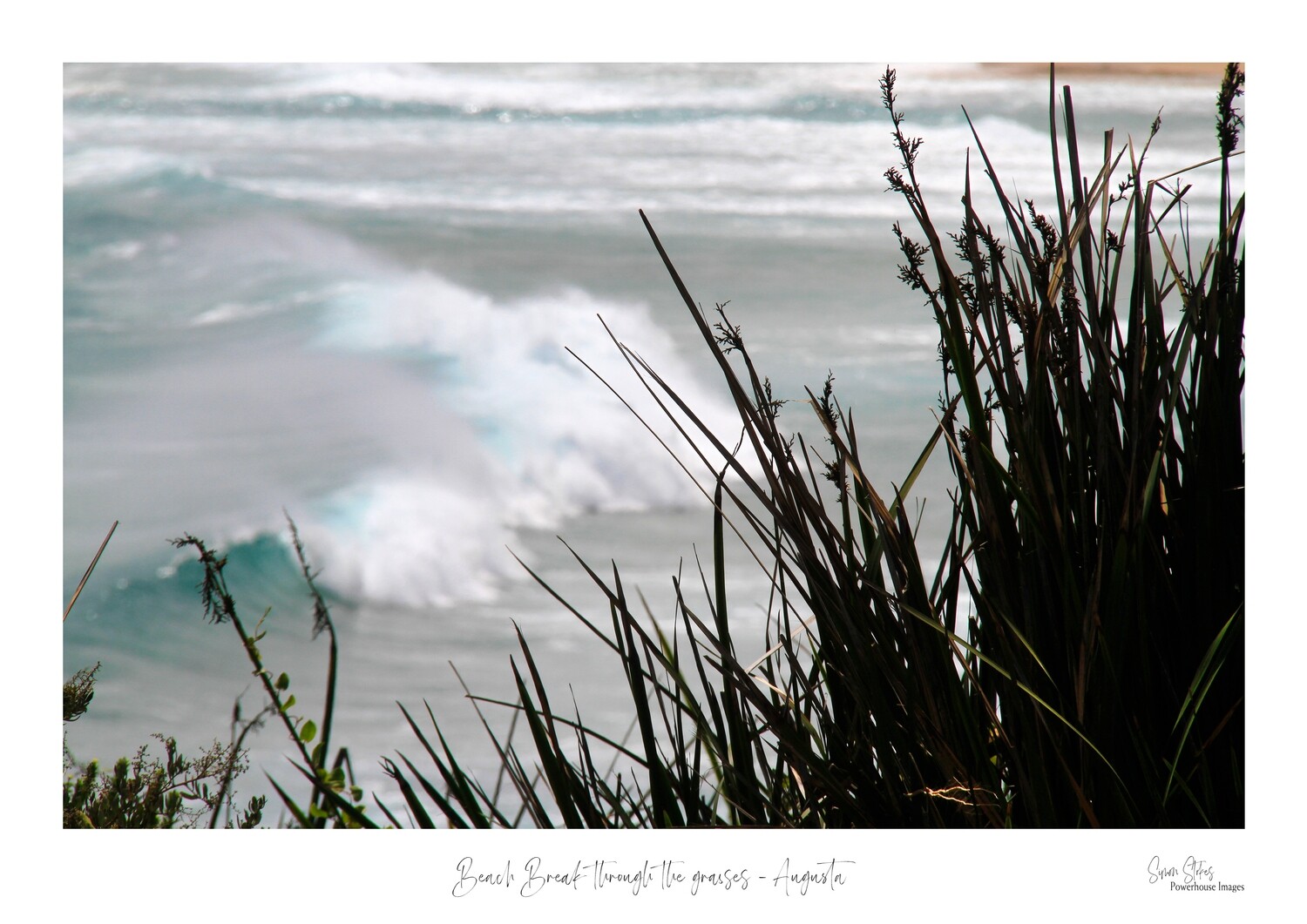 Beach Break through the grasses - Augusta