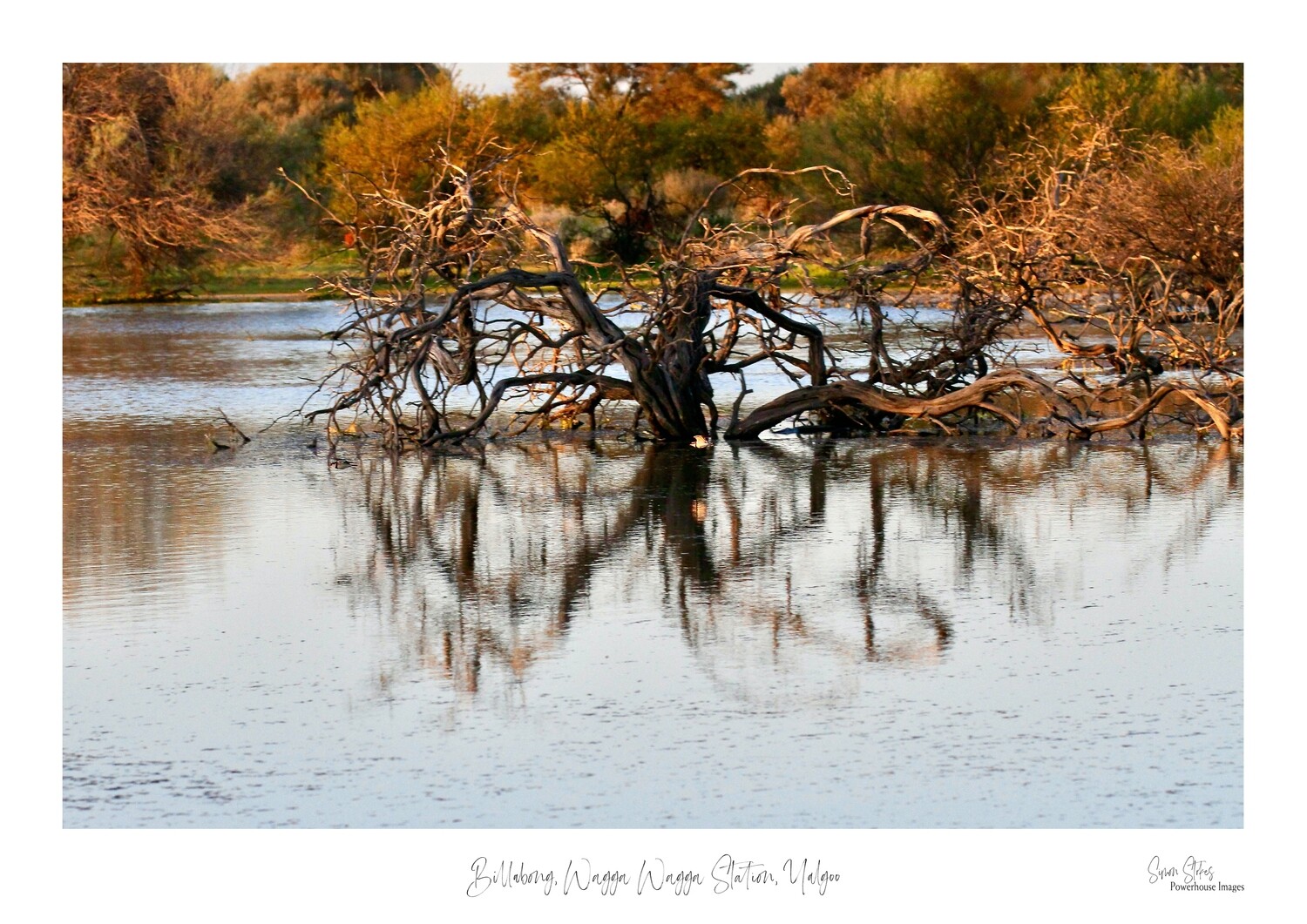 Billabong, Wagga Wagga Station, Yalgoo