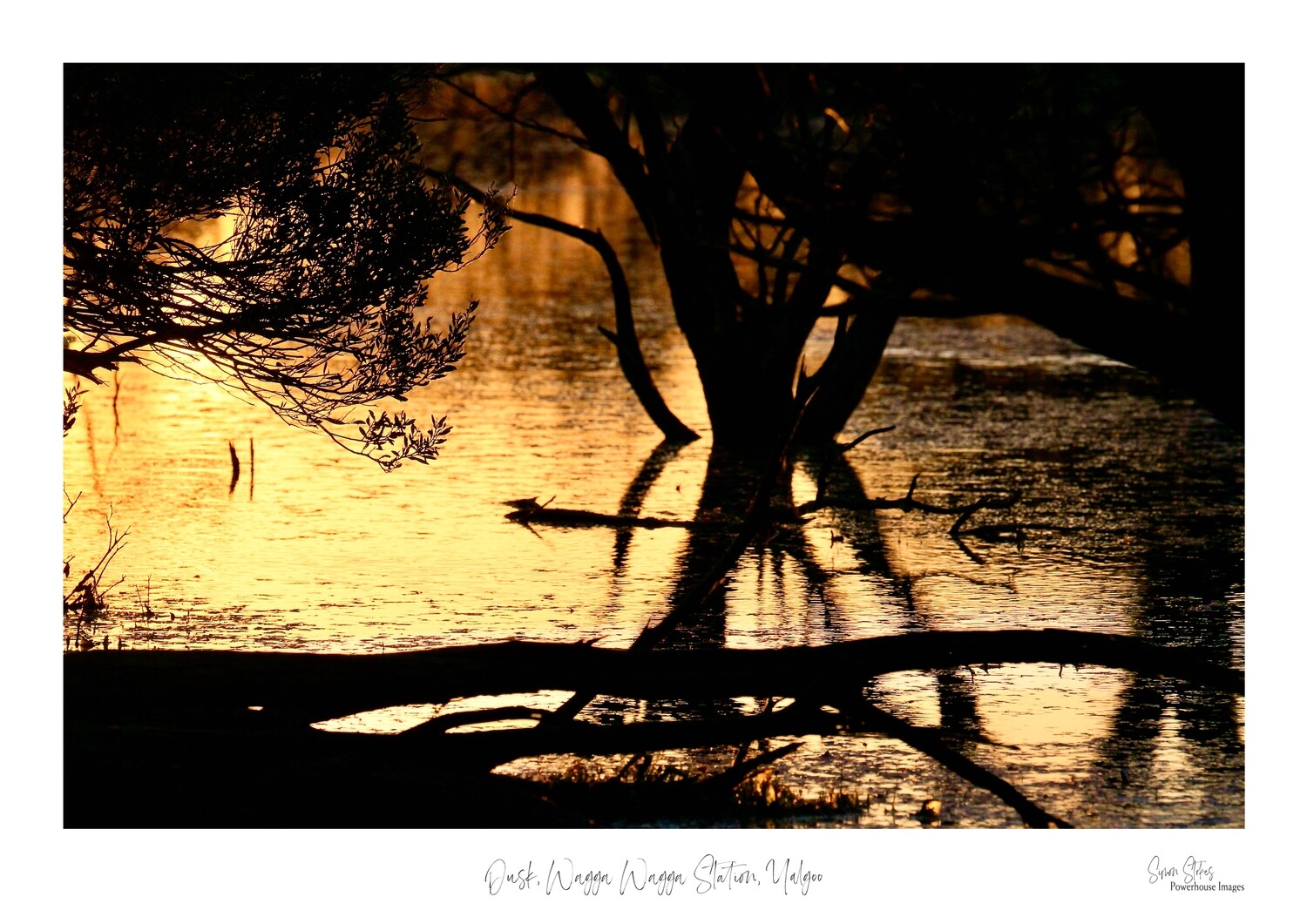 Dusk, Wagga Wagga Station, Yalgoo