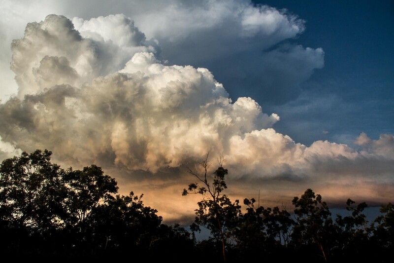 Kimberley Storm - Jigsaw