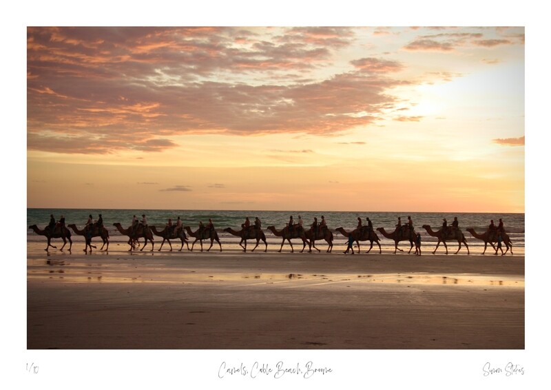 Camels, Cable Beach, Broome