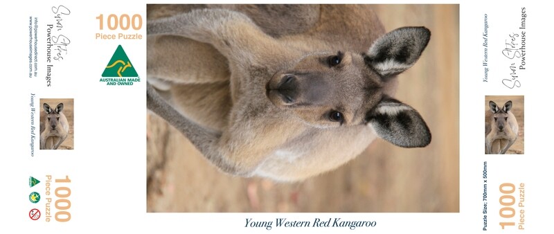 Young Western Red Kangaroo #1 - Jigsaw