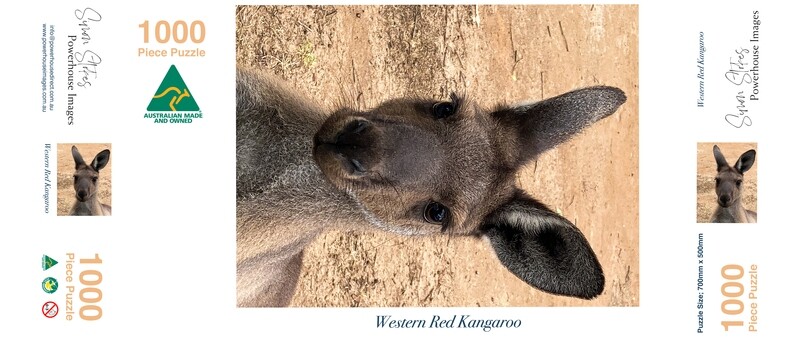 Young Western Red Kangaroo #2 - Jigsaw