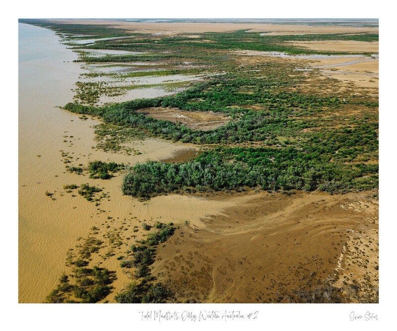 Tidal Mudflats, Derby Western Australia #2