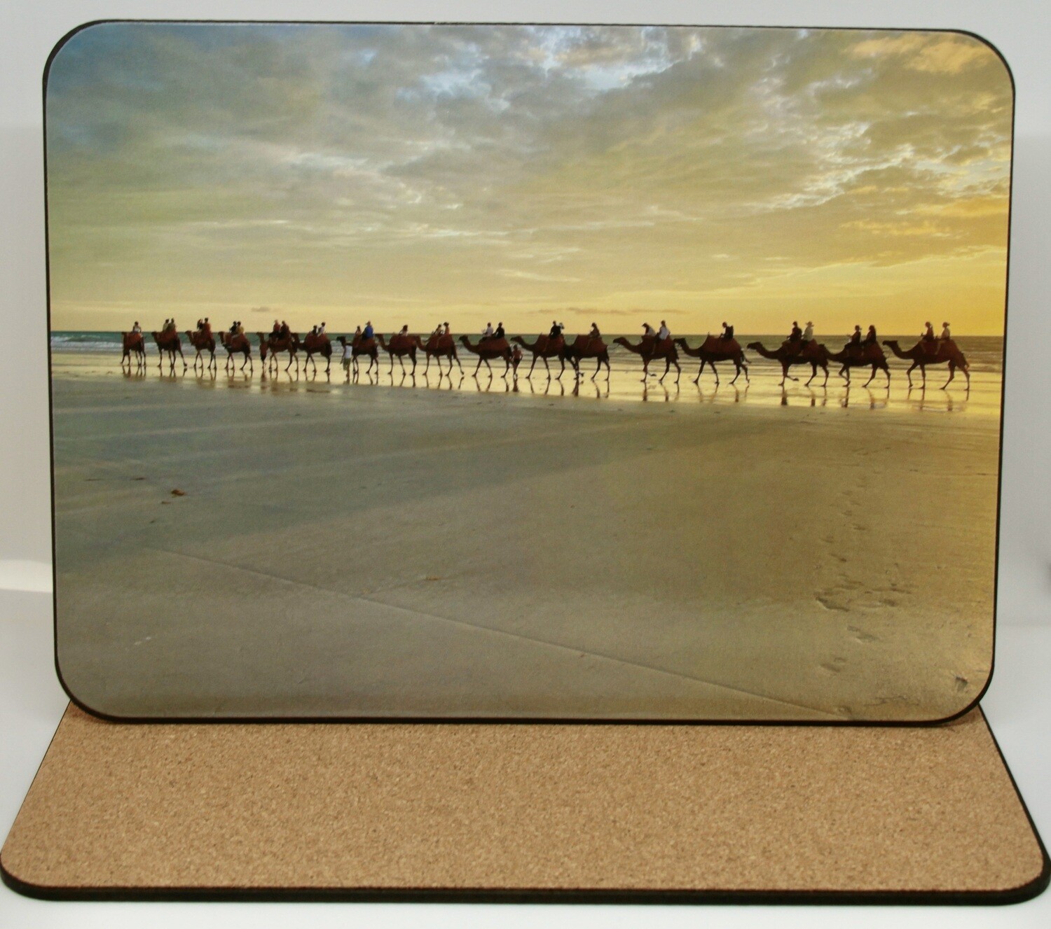 Broome Camels