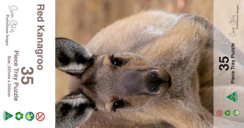 Red Kangaroo (Tray) - Jigsaw