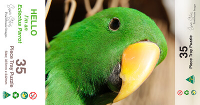 Eclectus Parrot (Tray) - Jigsaw