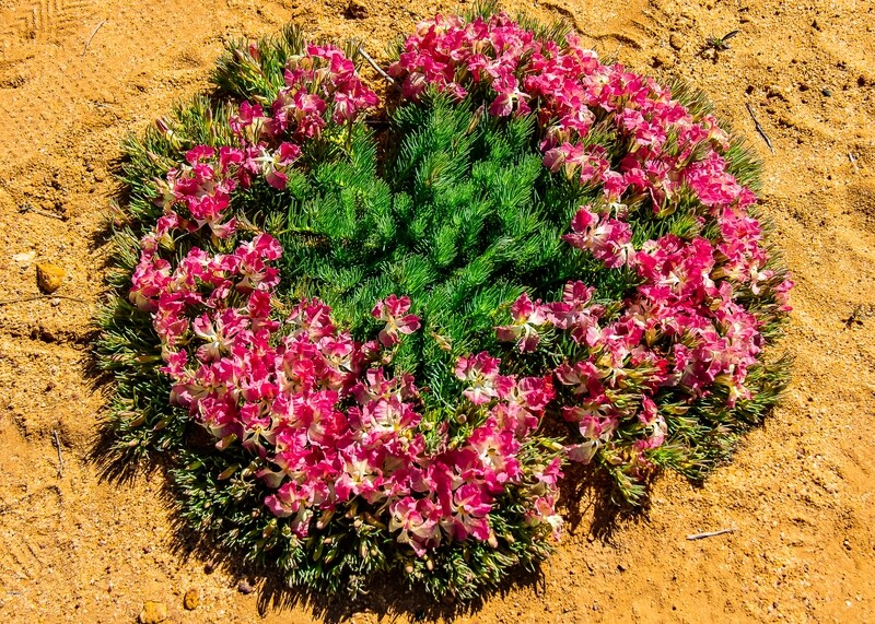 Wreath Flower - Jigsaw