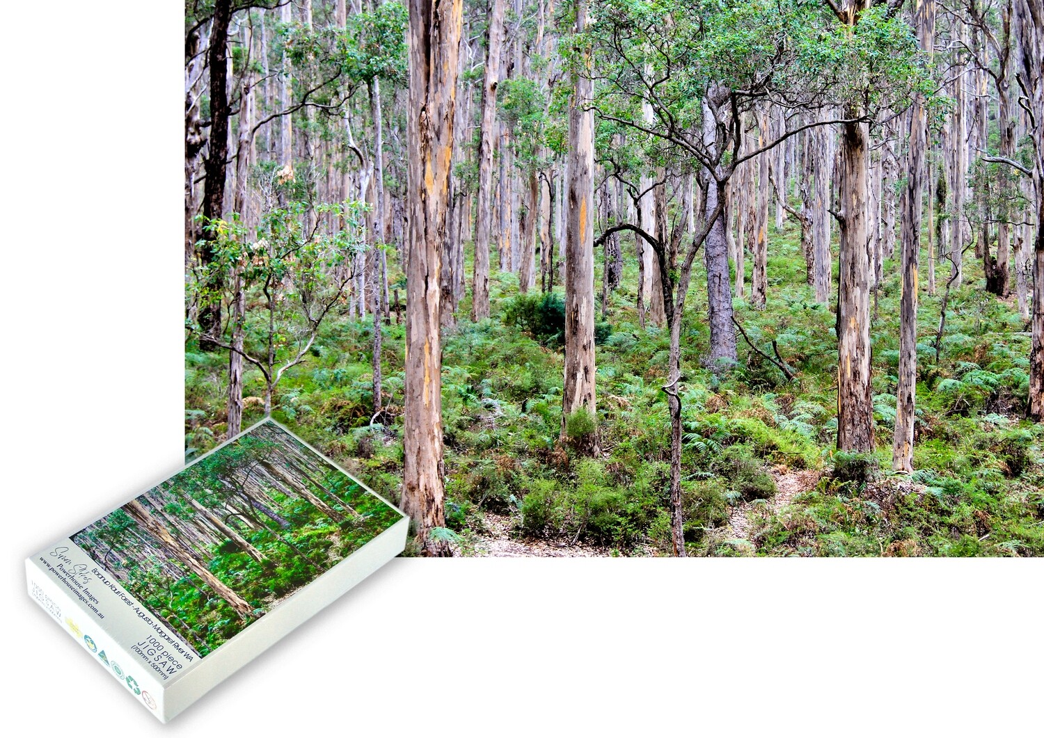 Boranup Karri Forest - Augusta-Margaret River  - Jigsaw