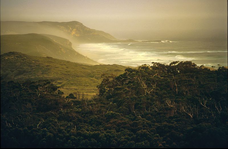 Serene Golden Sand &amp; Misty Seascape Digital Wall Art - Instant Download: Digital Photography, Australian Coastal Print, Western Australia