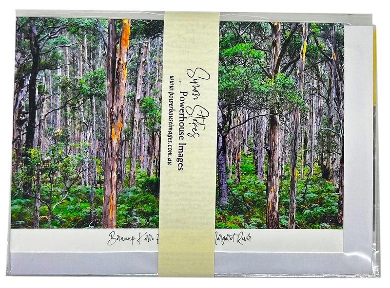 Greeting Card - Set of 6 Landscape Cards