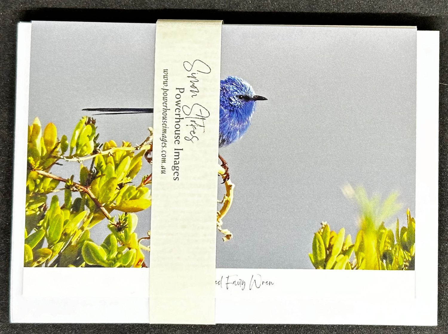 Greeting Card - Set of 6 Bird Cards