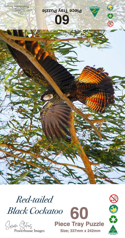Red-tailed Black Cockatoo (Tray) - Jigsaw