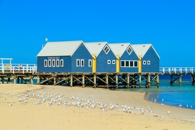 Busselton Jetty- Jigsaw